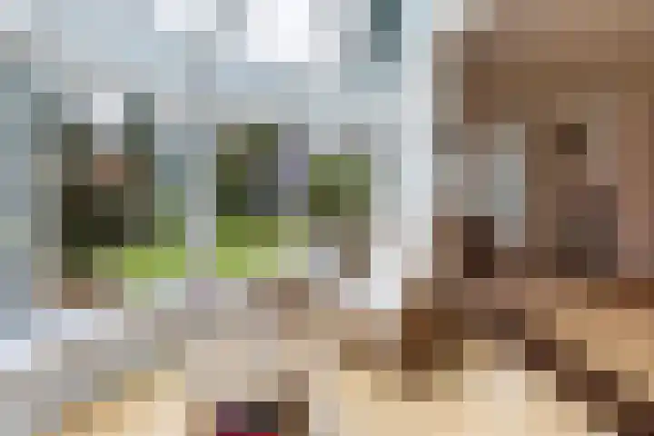 Dennenweg 4 Vaassen thumbnail 11