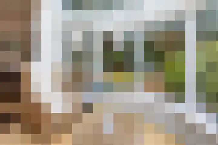 Dennenweg 4 Vaassen thumbnail 12