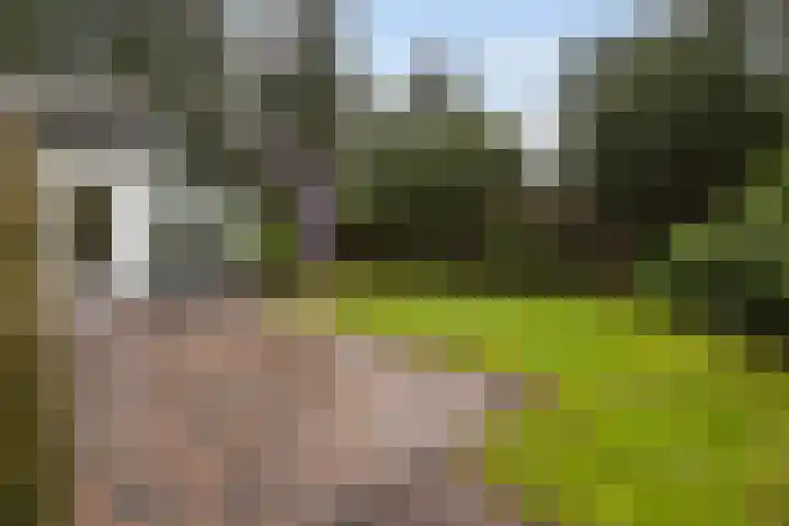 Dennenweg 4 Vaassen thumbnail 29