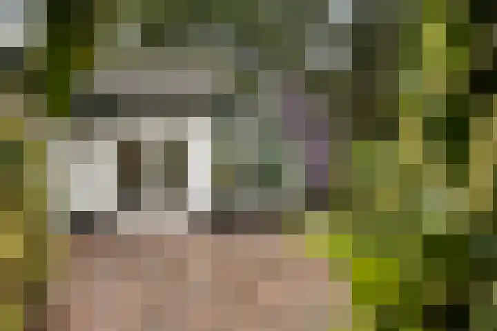 Dennenweg 4 Vaassen thumbnail 30