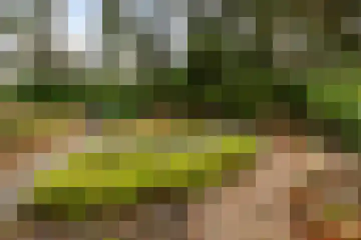 Dennenweg 4 Vaassen thumbnail 31