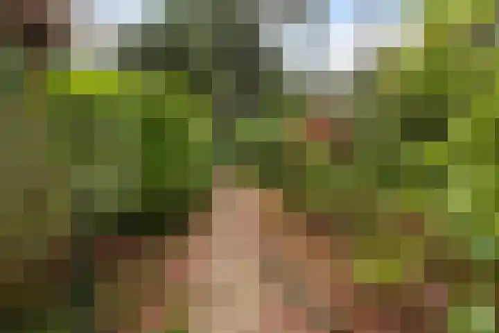 Dennenweg 4 Vaassen thumbnail 32