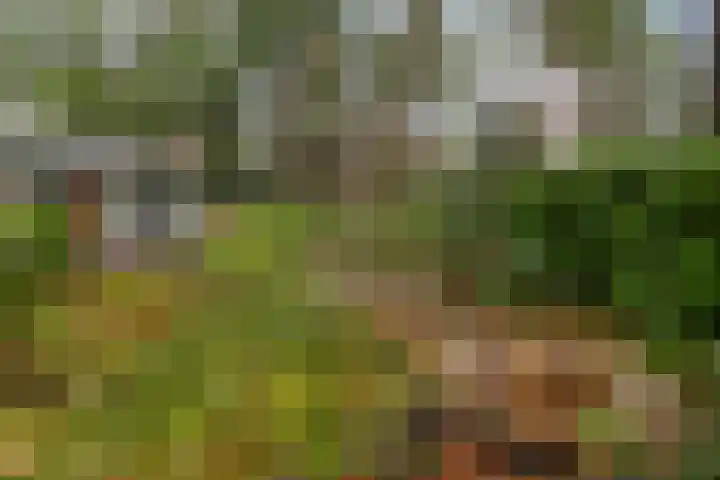 Dennenweg 4 Vaassen thumbnail 33