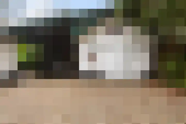 Dennenweg 4 Vaassen thumbnail 34