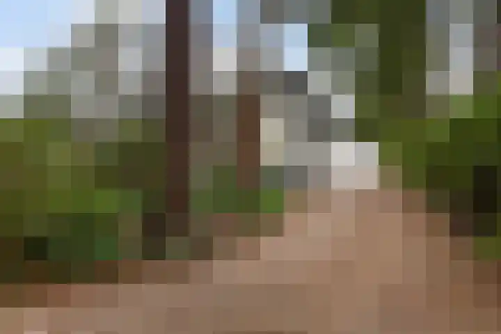 Dennenweg 4 Vaassen thumbnail 4
