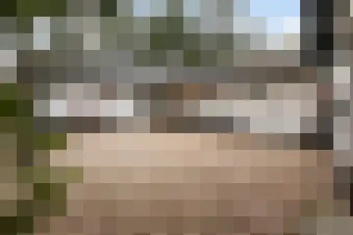 Dennenweg 4 Vaassen thumbnail 6