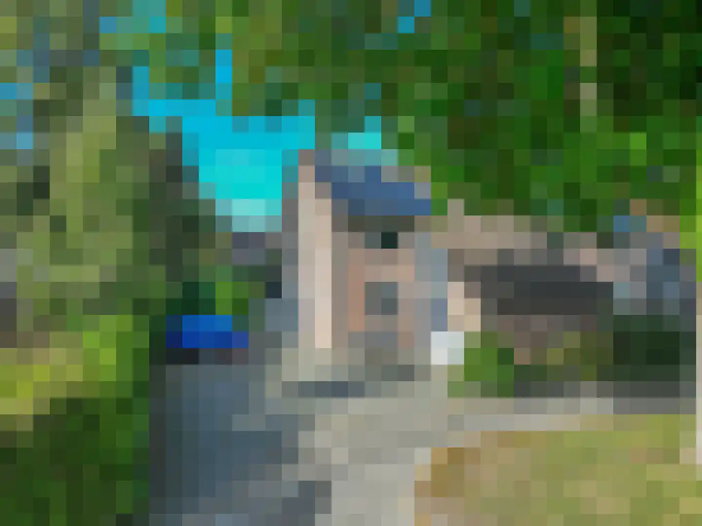 Dennenweg 4 Winschoten thumbnail 5