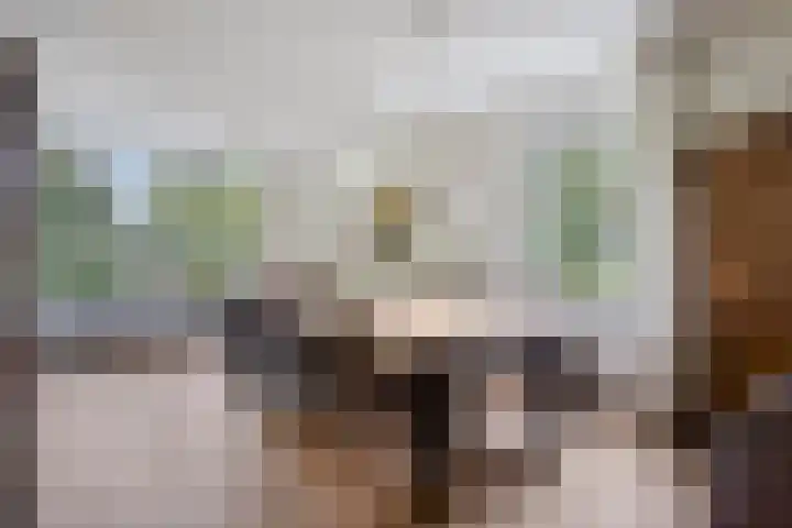 Dennenweg 5 Berghem thumbnail 11