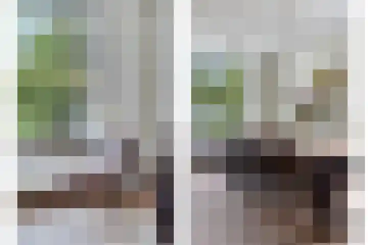 Dennenweg 5 Berghem thumbnail 12