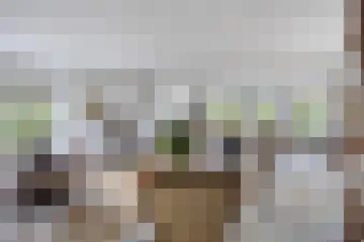 Dennenweg 5 Berghem thumbnail 14