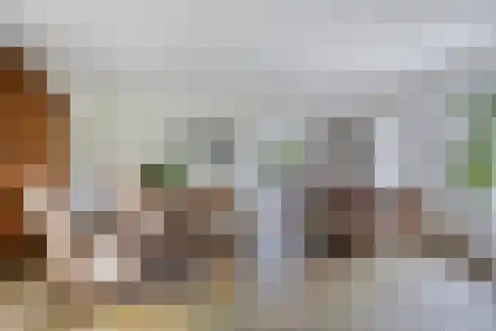 Dennenweg 5 Berghem thumbnail 17