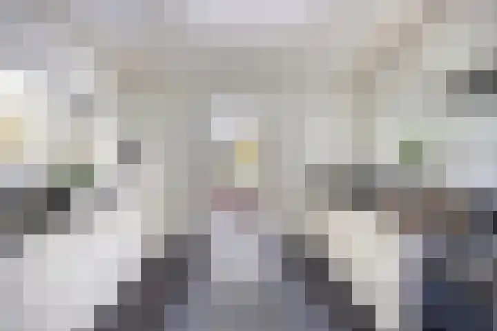 Dennenweg 5 Berghem thumbnail 21