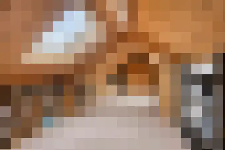 Dennenweg 5 Berghem thumbnail 37