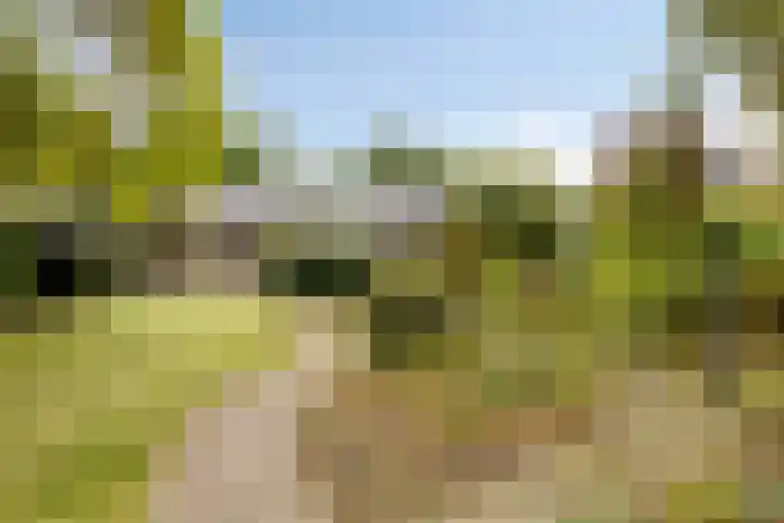 Dennenweg 5 Berghem thumbnail 39