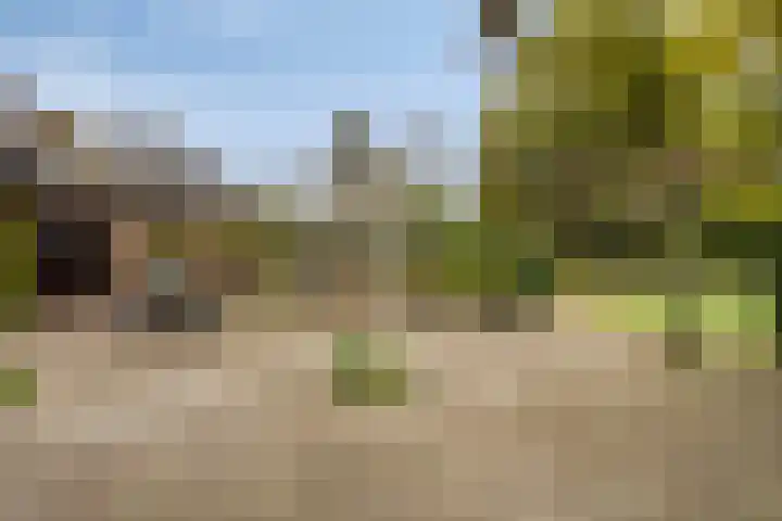 Dennenweg 5 Berghem thumbnail 40