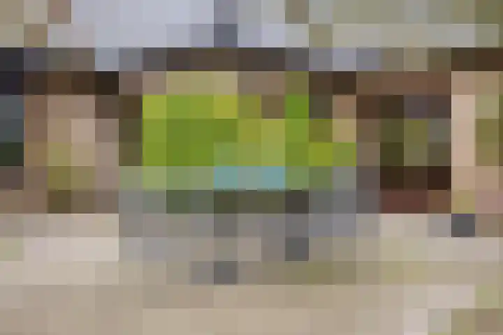 Dennenweg 5 Berghem thumbnail 41