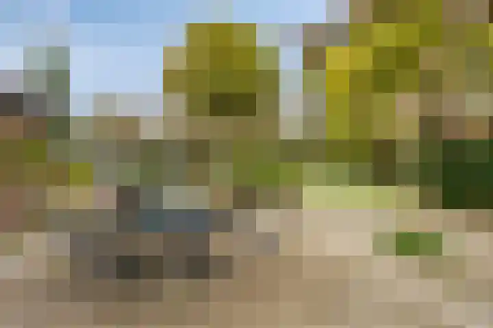 Dennenweg 5 Berghem thumbnail 42