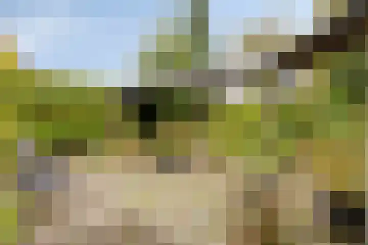 Dennenweg 5 Berghem thumbnail 45