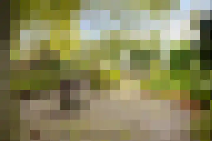Dennenweg 5 Berghem thumbnail 46