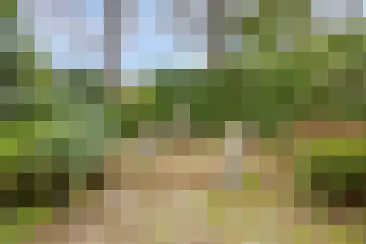 Dennenweg 5 Berghem thumbnail 47