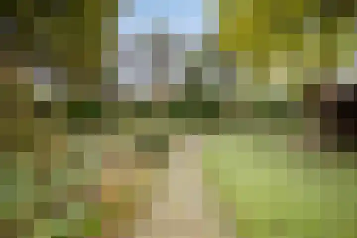 Dennenweg 5 Berghem thumbnail 48