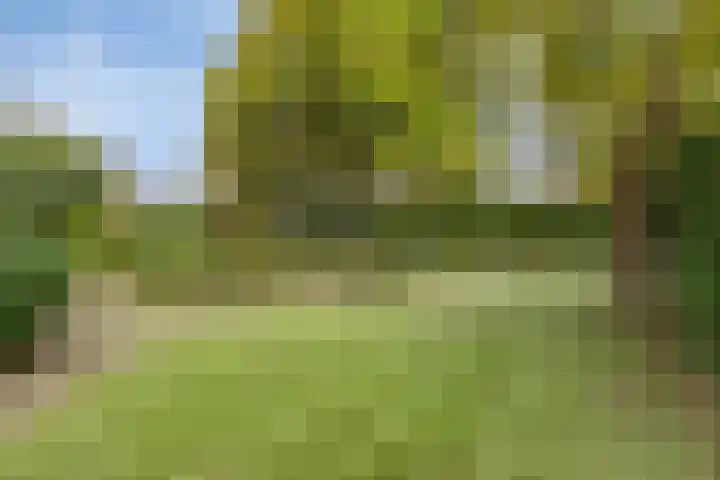 Dennenweg 5 Berghem thumbnail 49