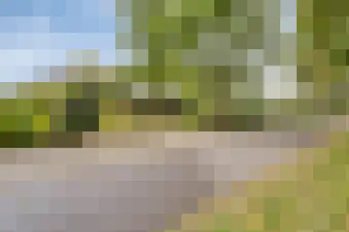 Dennenweg 5 Berghem thumbnail 5