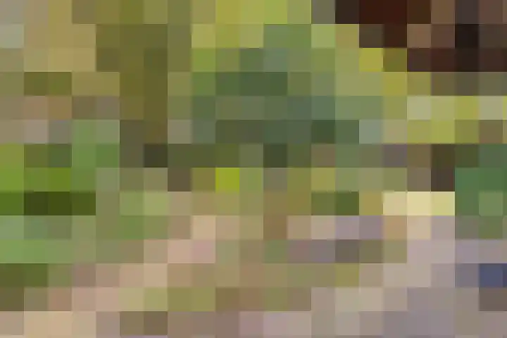 Dennenweg 5 Berghem thumbnail 50