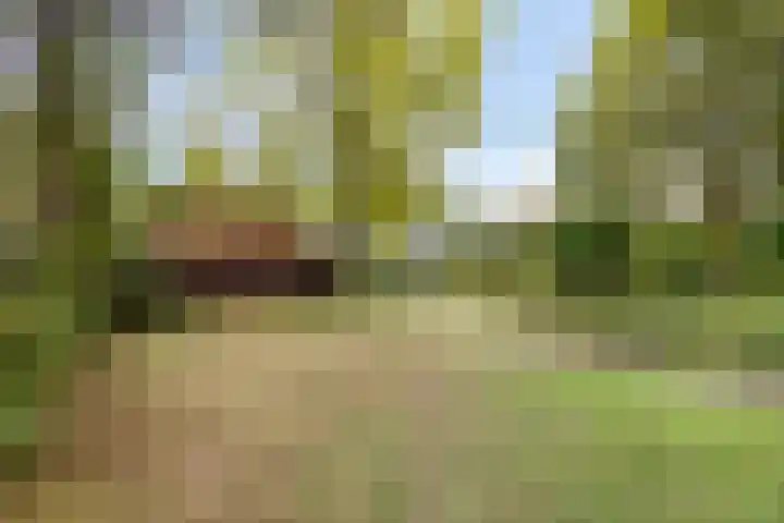 Dennenweg 5 Berghem thumbnail 51