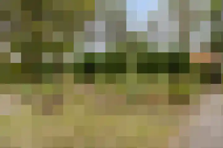Dennenweg 5 Berghem thumbnail 52