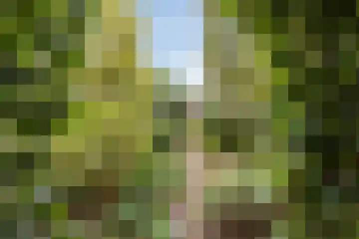 Dennenweg 5 Berghem thumbnail 53