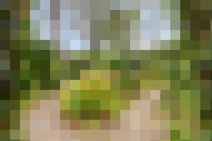 Dennenweg 5 Berghem thumbnail 55