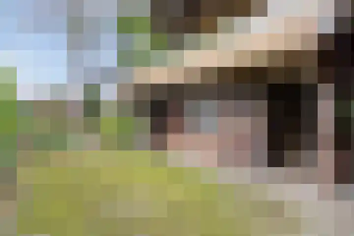 Dennenweg 5 Berghem thumbnail 57