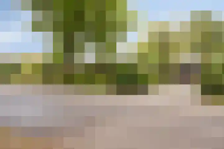 Dennenweg 5 Berghem thumbnail 6
