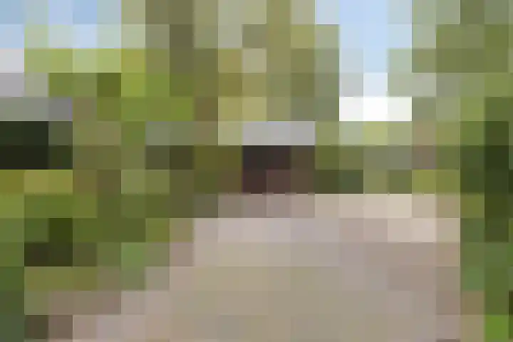 Dennenweg 5 Berghem thumbnail 61