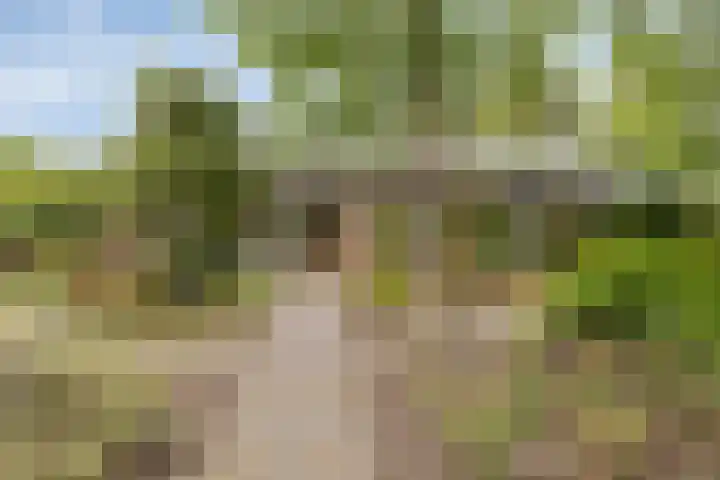 Dennenweg 5 Berghem thumbnail 7
