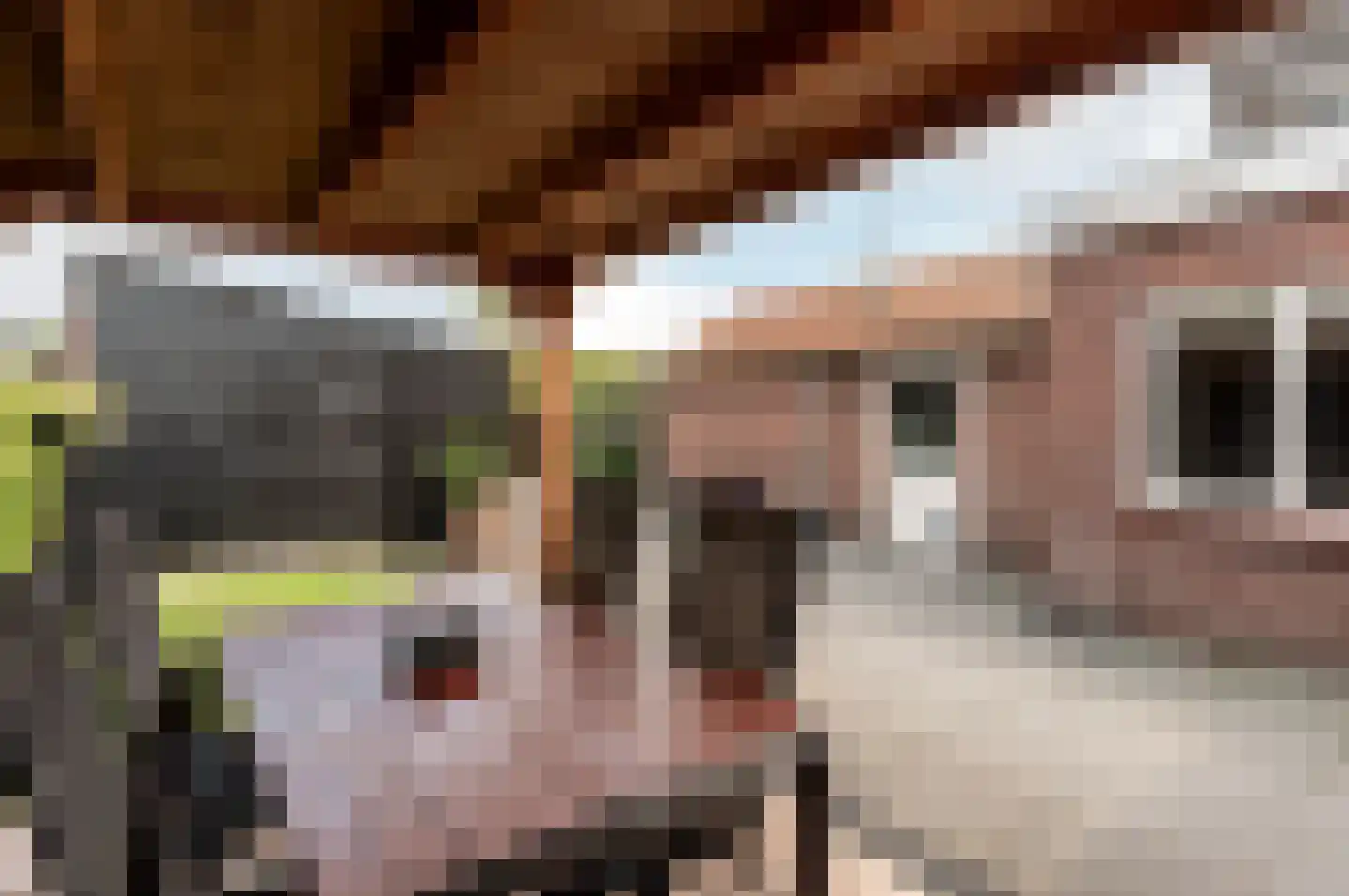 Dennenweg 7 't Harde thumbnail 35