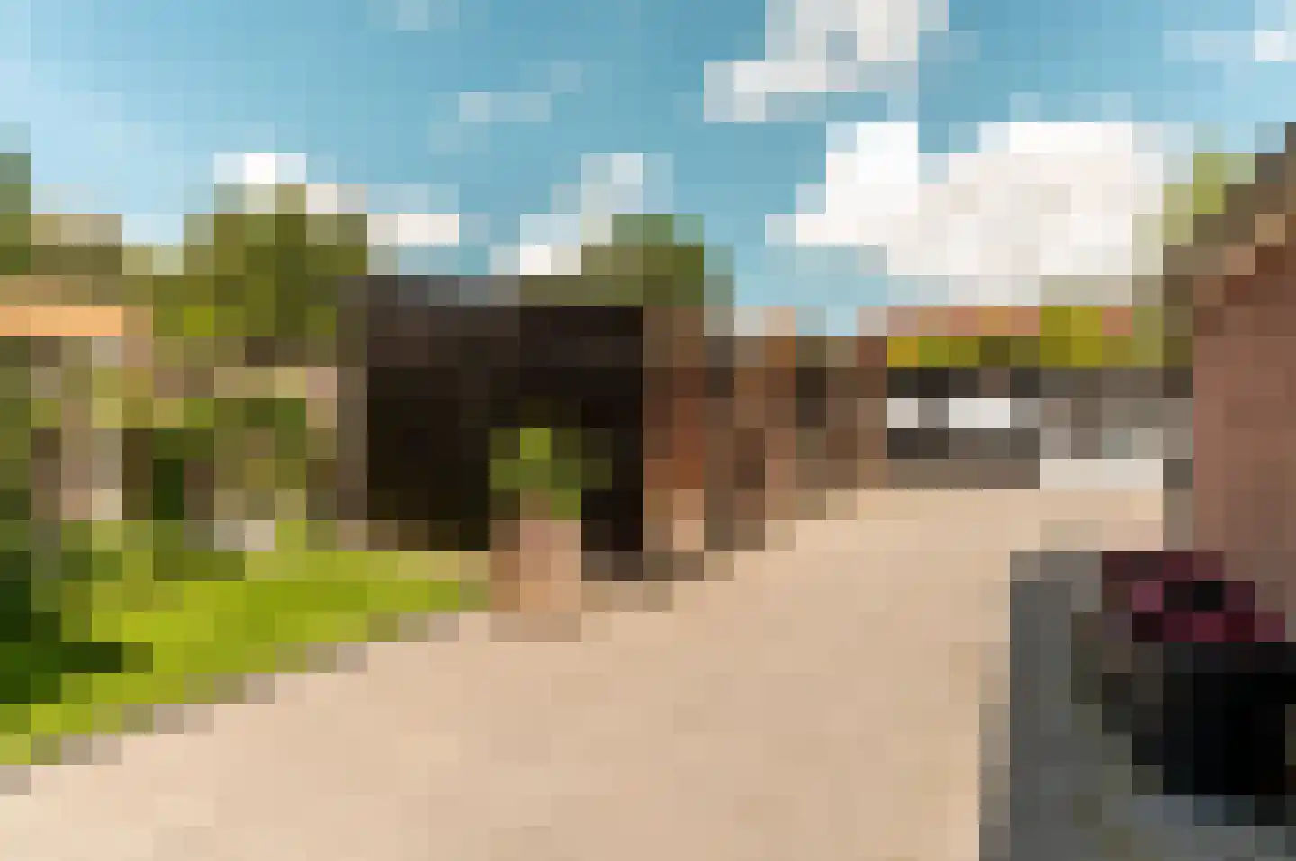 Dennenweg 7 't Harde thumbnail 37
