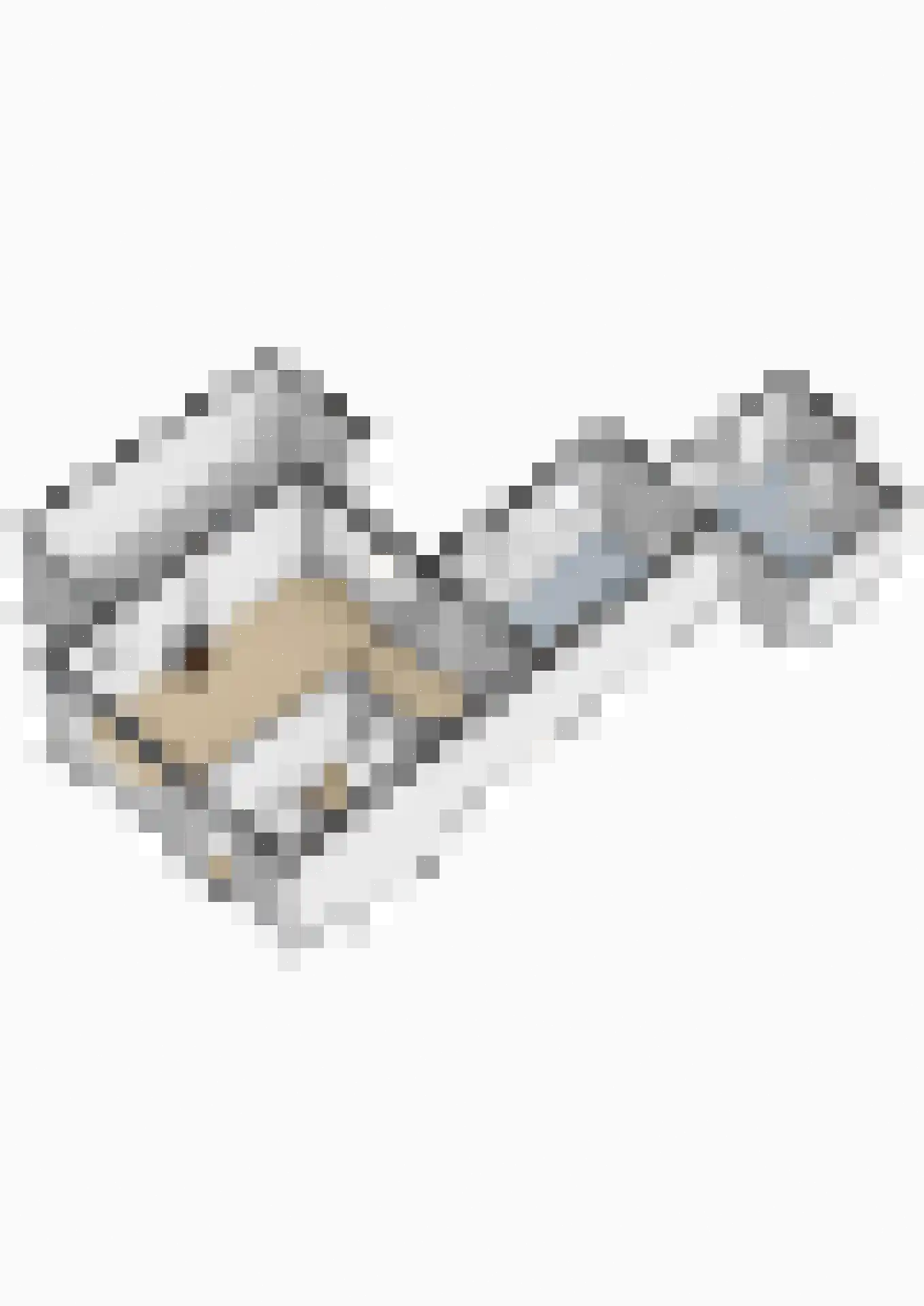 Dennenweg 7 't Harde thumbnail 43