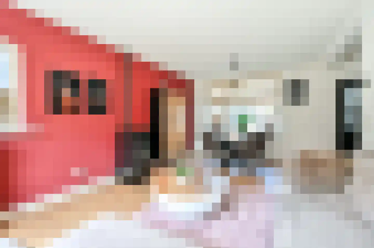 Dennenweg 7 't Harde thumbnail 7