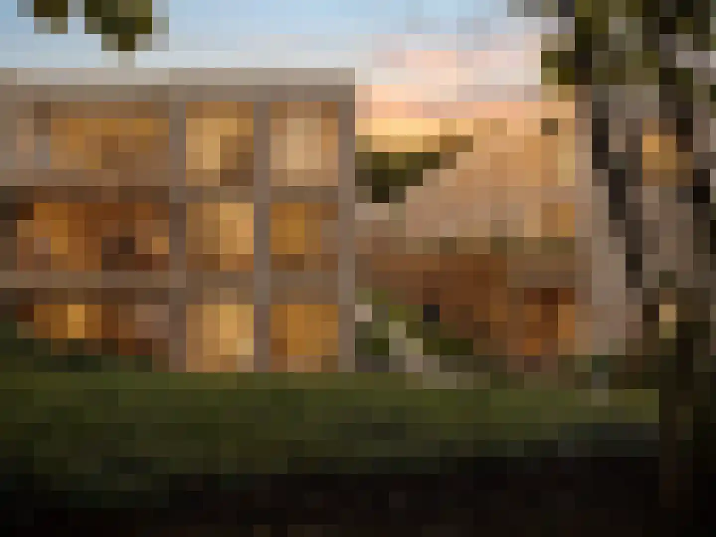Dennenweg 8 d Bloemendaal thumbnail 6