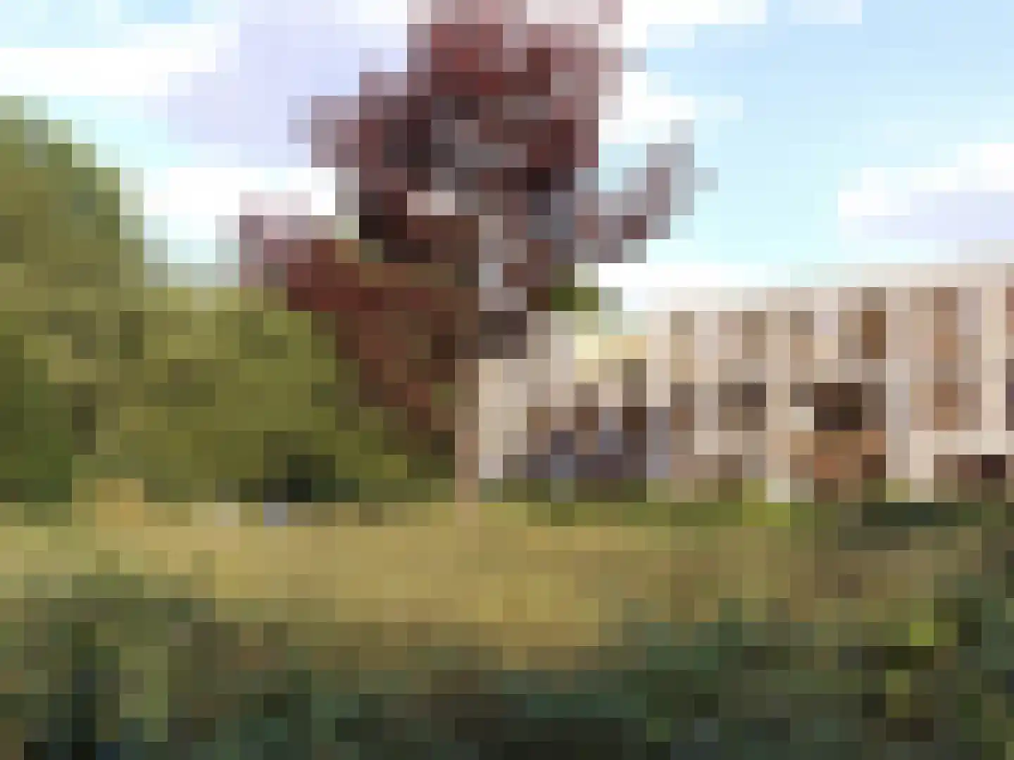 Dennenweg 8 d Bloemendaal thumbnail 8