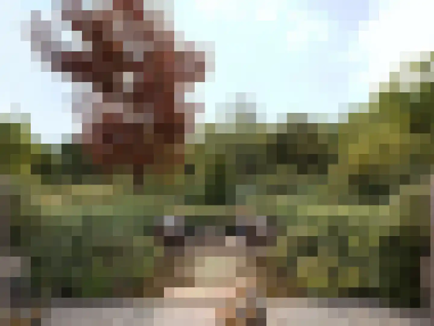 Dennenweg 8 d Bloemendaal thumbnail 9