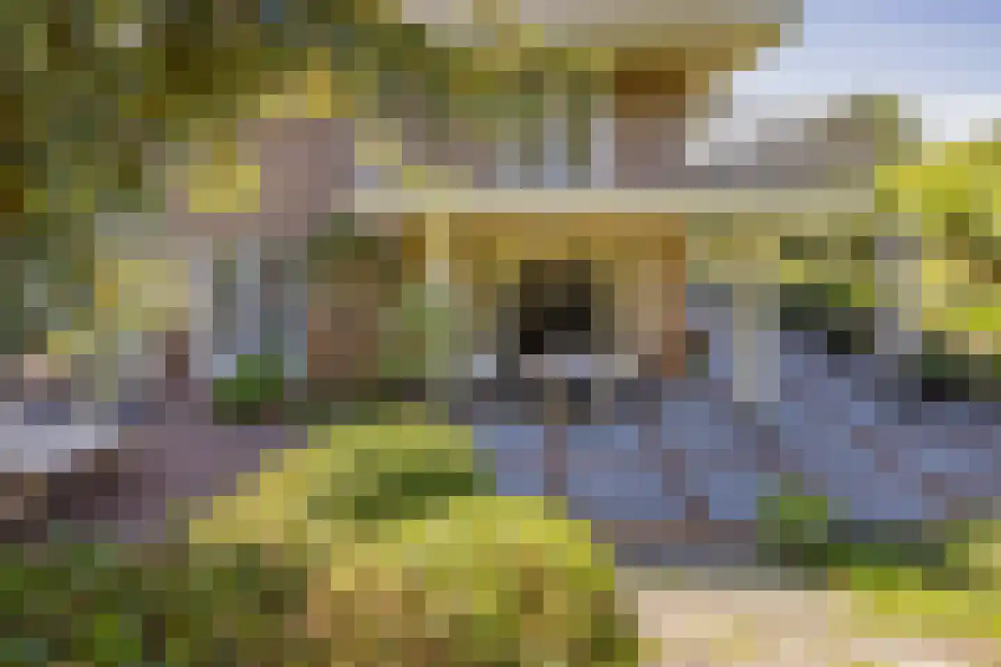 Dennenweg 8 Noordwijk thumbnail 14