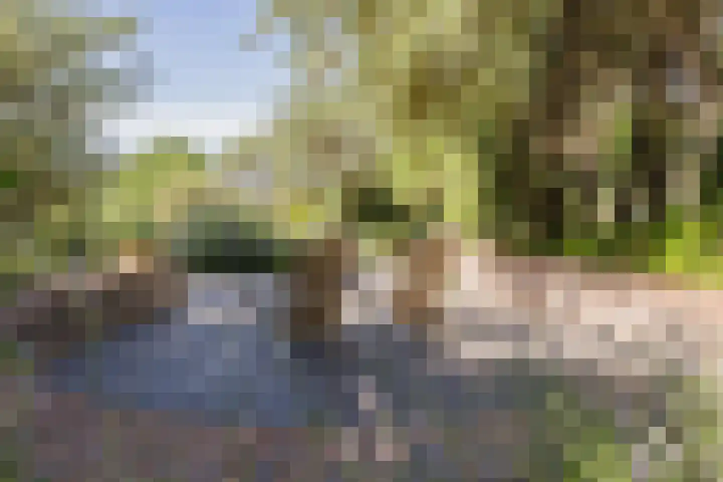 Dennenweg 8 Noordwijk thumbnail 22