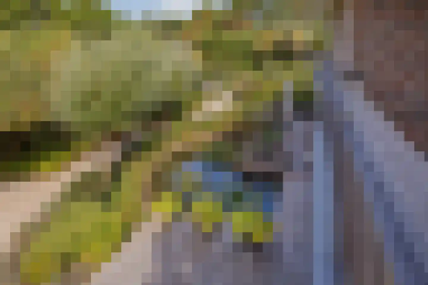Dennenweg 8 Noordwijk thumbnail 45
