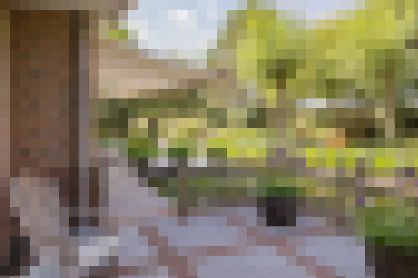 Dennenweg 8 Noordwijk thumbnail 68