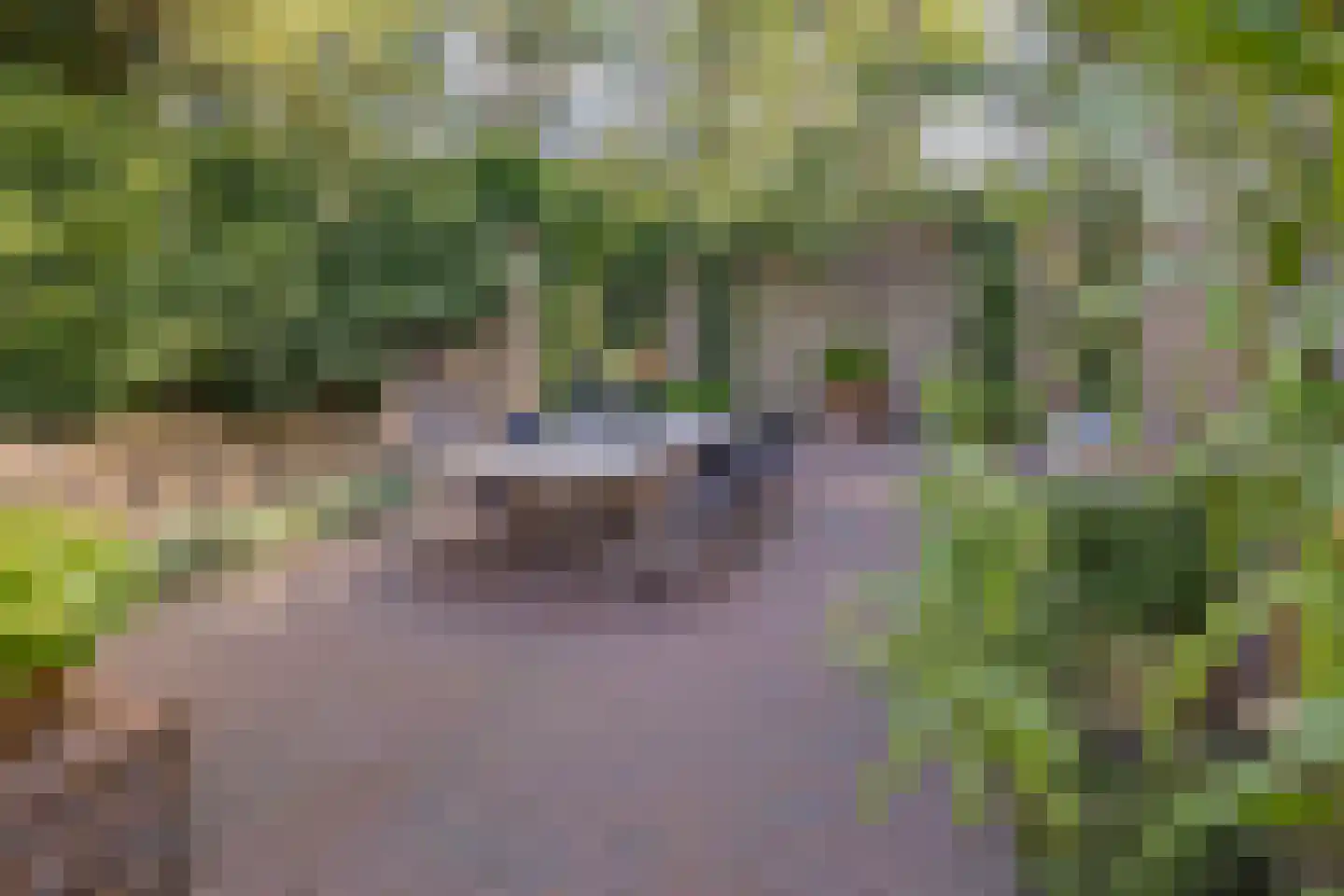 Dennenweg 8 Noordwijk thumbnail 70
