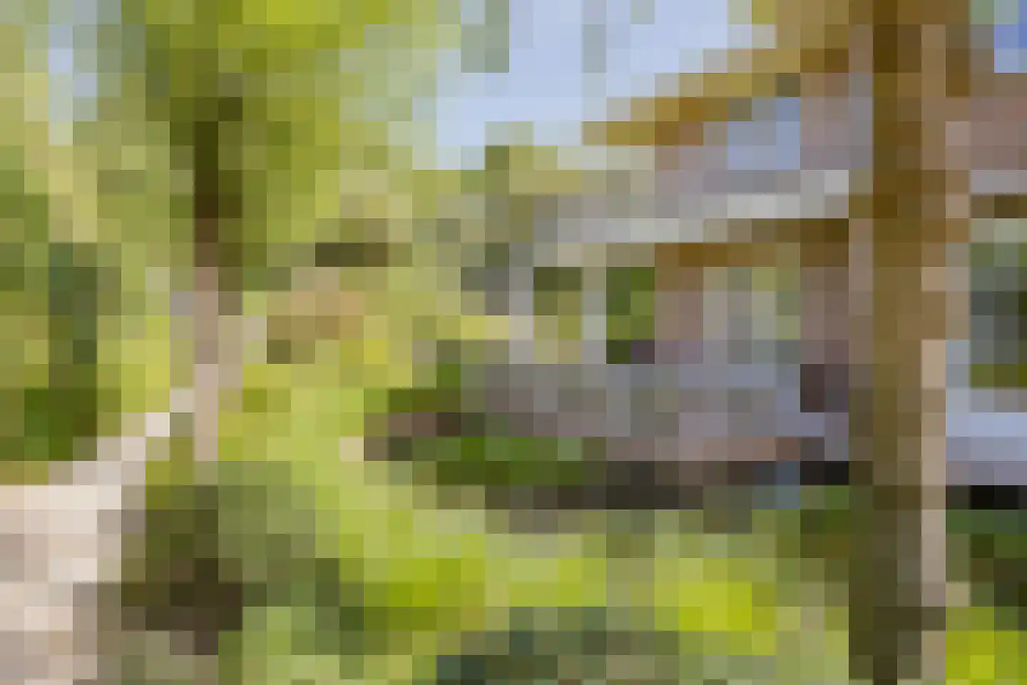 Dennenweg 8 Noordwijk thumbnail 72