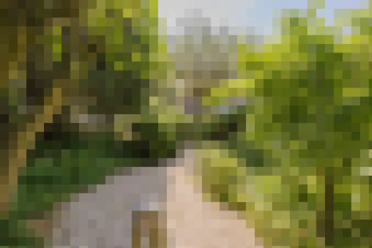 Dennenweg 8 Noordwijk thumbnail 75